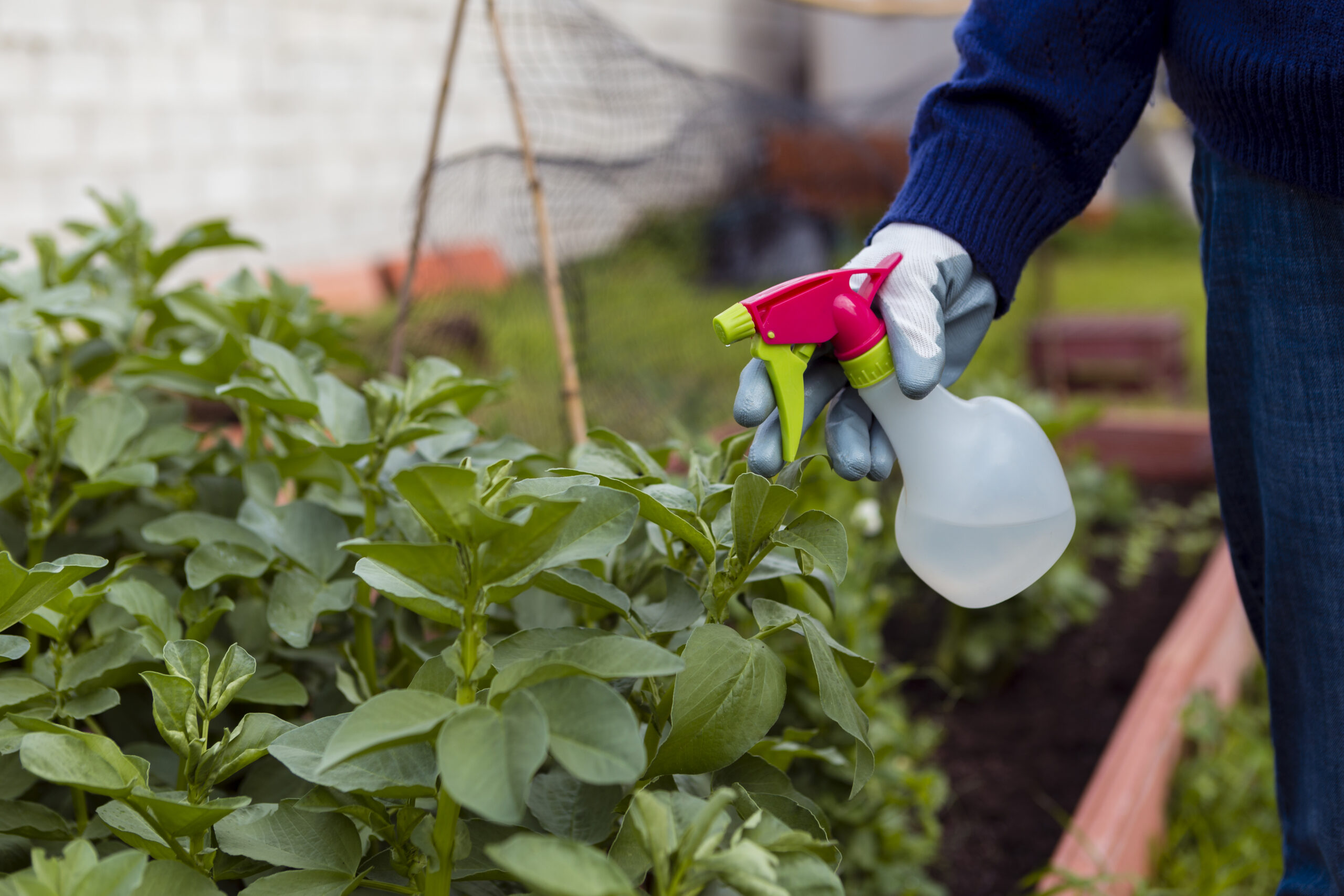 Fungicides
