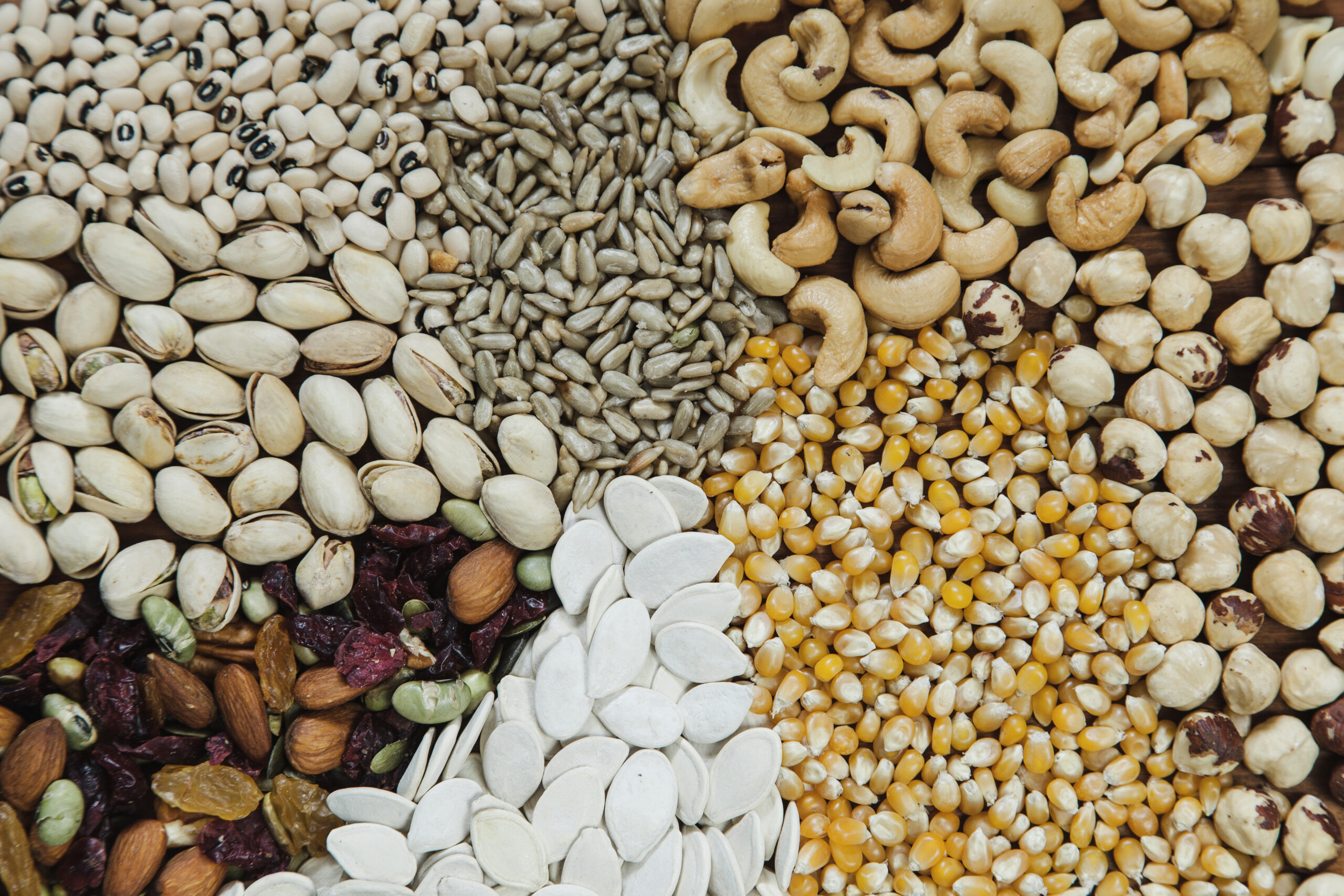 Seeds