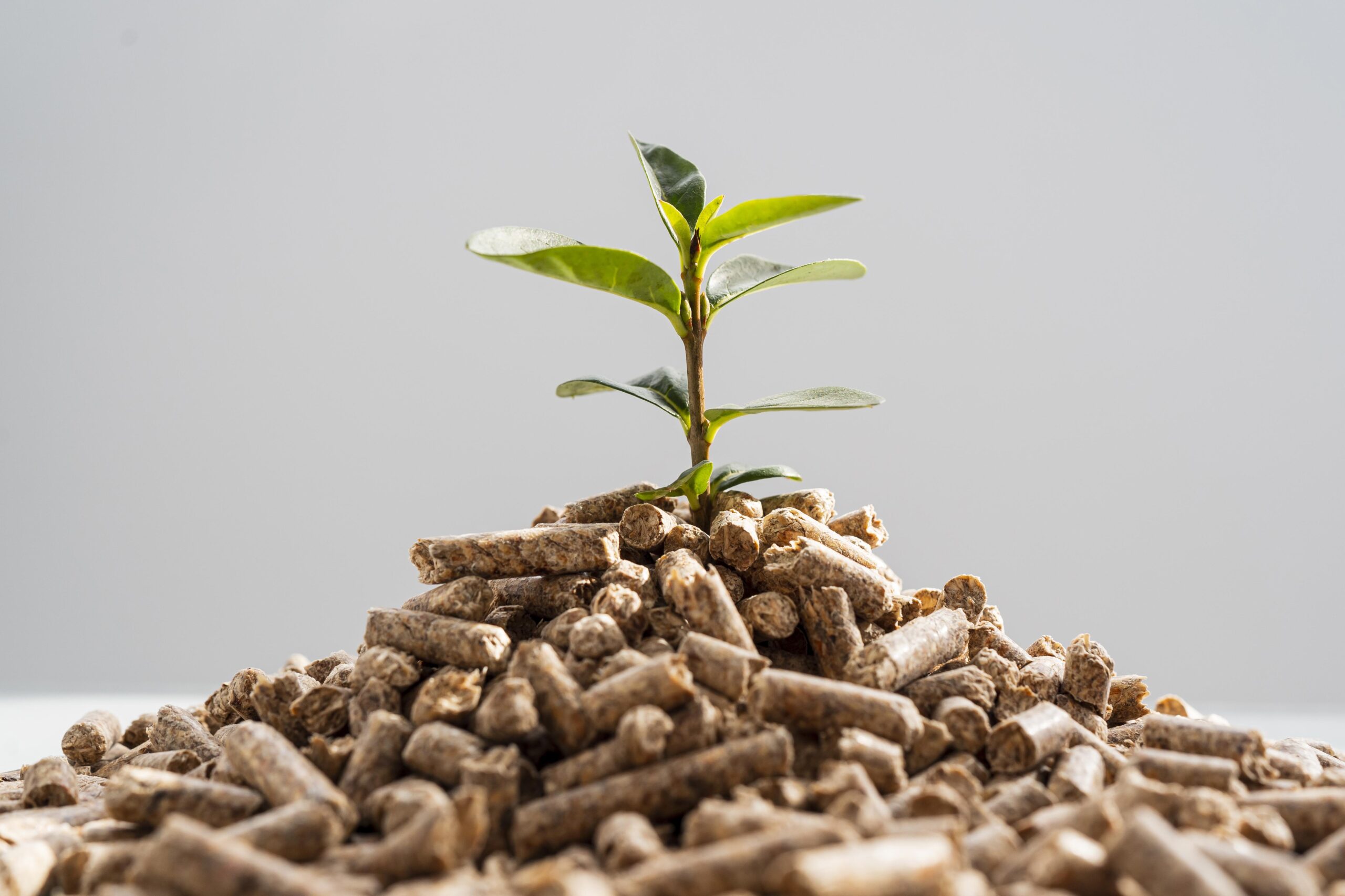 Plant Growth Regulator (PGR)