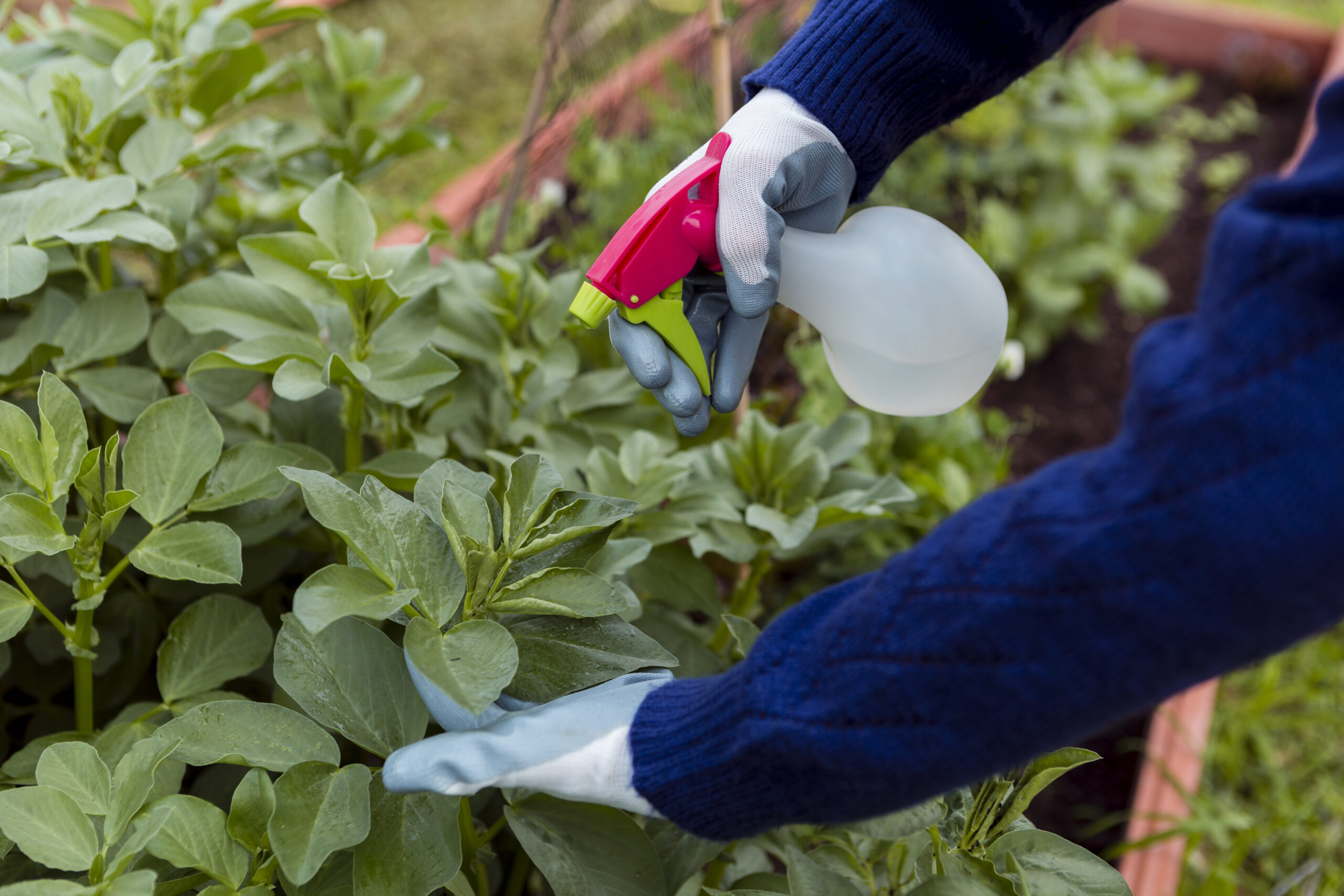 Foliar Fertilizers